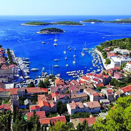 Delfin Hvar